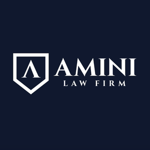 Team Page: Amini Law Firm, PLLC